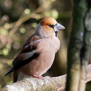 26-03-2022 17-10-41_0005